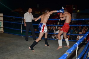 total fight 2-foto (3)