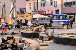 foto-sjeca drveca u centru grada (5)