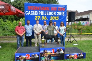 cacib prijedor 2015 (15)