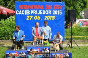 cacib prijedor 2015-pobjednici (12)