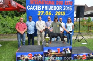 cacib prijedor 2015-pobjednici (18)