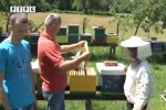 PRIJEDOR-DOBRA GODINA ZA PČELARE: PORODICA KARANOVIĆ ŽIVI OD PČELARSTVA – VIDEO