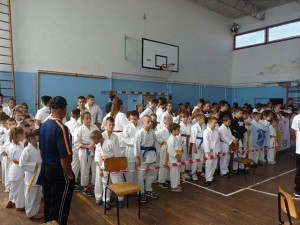 karate klub shodan-turnir kostajnica open 2015 (2)