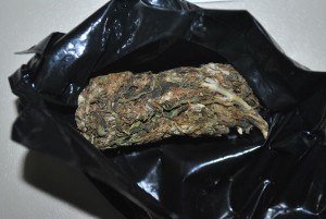 cjbpd-zapljena marihuane (2)