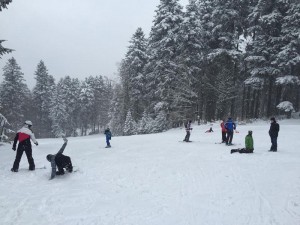 kozara ski-pocela ski sezona 2015-16 (1)