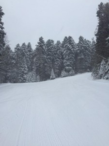 kozara ski-pocela ski sezona 2015-16 (2)