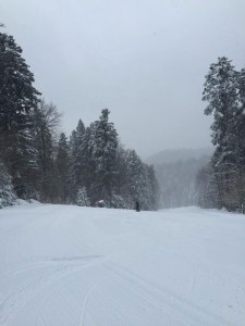 kozara ski-pocela ski sezona 2015-16 (3)