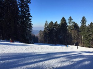 kozara-ski staze