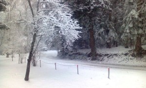 np kozara-snijeg-23mart (2)