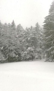 np kozara-snijeg-23mart (3)