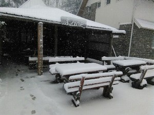 np kozara-snijeg-23mart (4)