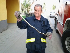 vatrogasci prijedor-zmija (1)
