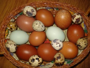 mladen goronjic-sarena jaja (1)