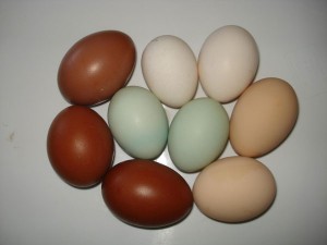 mladen goronjic-sarena jaja (5)