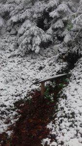 kozara-prvi-snijeg-9novembar-7