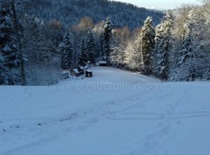 kozara-nova ski staza (3)
