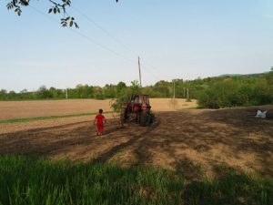 Najbolji rezultati u poljoprivredi: U Prijedoru za 4 godine završeno 20 odsto projekata