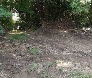 Završena ekshumacija: U Tomašici nisu pronađeni novi posmrtni ostaci