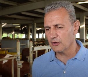 “Prinuđen sam da sve batalim”: Najveći proizvođač mlijeka u Republici Srpskoj zatvara farmu kod Prijedora