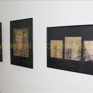 izlozba vlado njaradi (3)