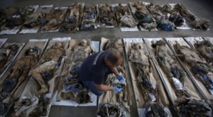 IDENTIFIKOVANO OKO 100 ŽRTAVA IZ TOMAŠICE