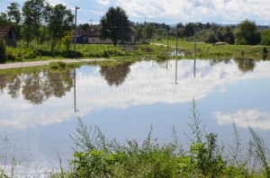 gomjenica-13septembar (1)