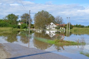 gomjenica-13septembar (2)