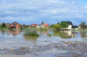 gomjenica-13septembar (3)