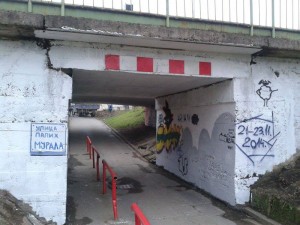 mali podvoznjak-akcija uredjenja (13)