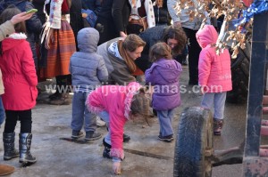 centralni badnjak prijedor (1)