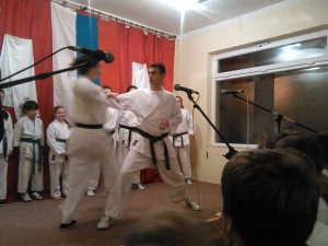 vece kulturnog stvaralastva rasavci (2)