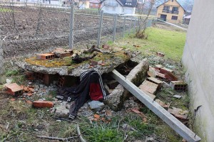 sahranjen aldvin cehic (4)