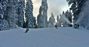 ski sezona 2014-15 (5)