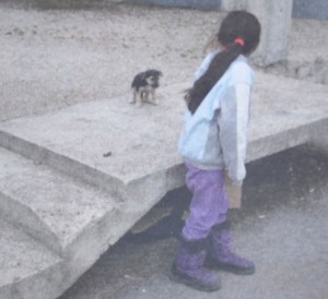 avaz-ostavila dijete da prosi (1)