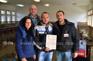 drustvo golub-izlozba moj ljubimac (10)