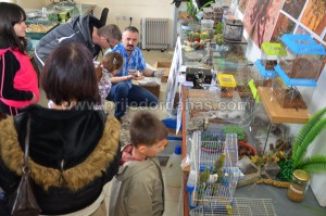 izlozba moj ljubimac-kraj (3)