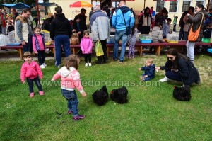 izlozba moj ljubimac-kraj (6)