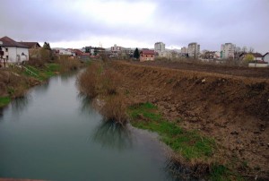 srna-pavic-andjelic (2)