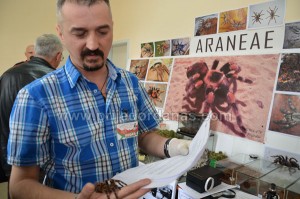 vujinovic-tarantule (3)