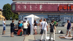 srna-instalacija-nestali