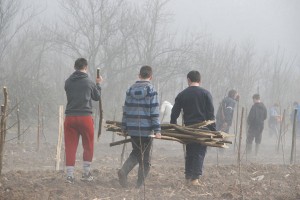 OŠ “BRANKO RADIČEVIĆ” PETROVO/ĆELA: OSNOVCI ZASADILI VLASTITI VOĆNJAK