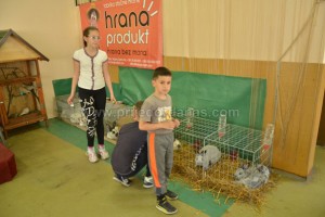 POČELA REVIJALNA IZLOŽBA SITNIH ŽIVOTINJA I KUĆNIH LJUBIMACA – FOTO