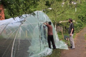 ostranula-ljubija (1)