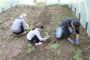 ostranula-ljubija (4)