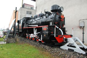 srna-parastos-zeljeznicari (2)