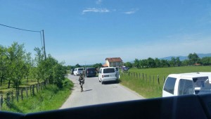 srna-potraga-rakelici (2)