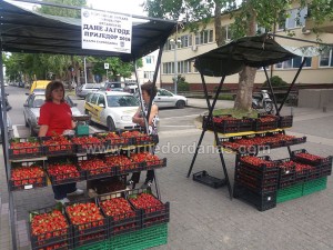 dani jagoda 2016-pocetak (3)