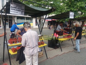 dani jagoda 2016-pocetak (4)