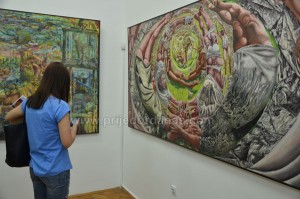 izlozba darko djurovic (8)