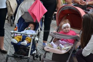 konferencija beba 2016 (2)